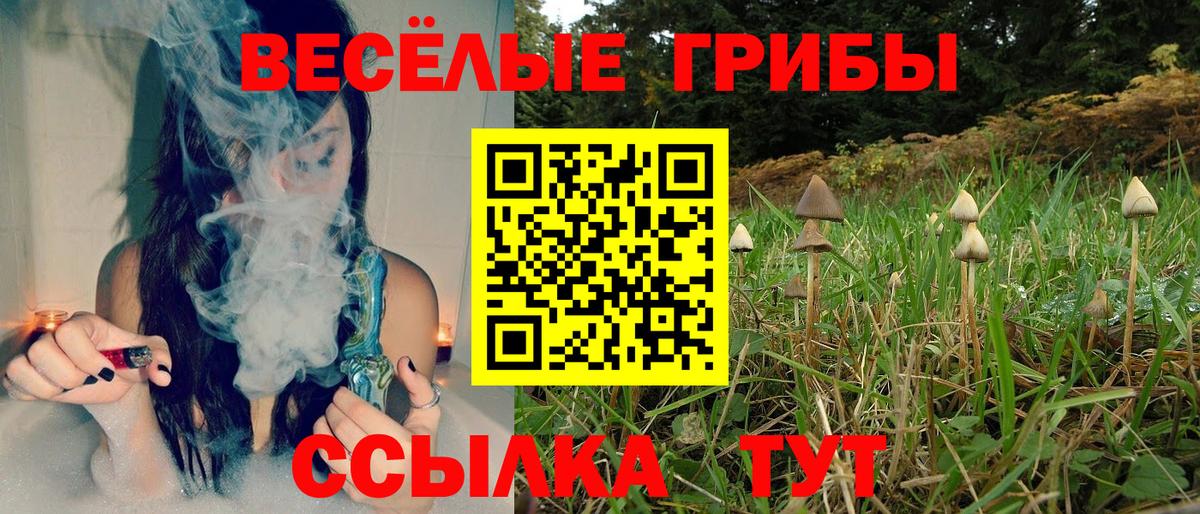 Псилоцибиновые грибы MAGIC MUSHROOMS Грязи