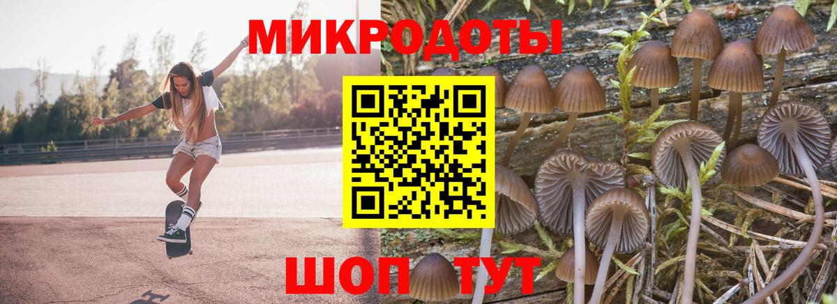 Грязи  Псилоцибиновые грибы ЛСД  Вход с VPN  Псилоцибиновые грибы ЛСД 